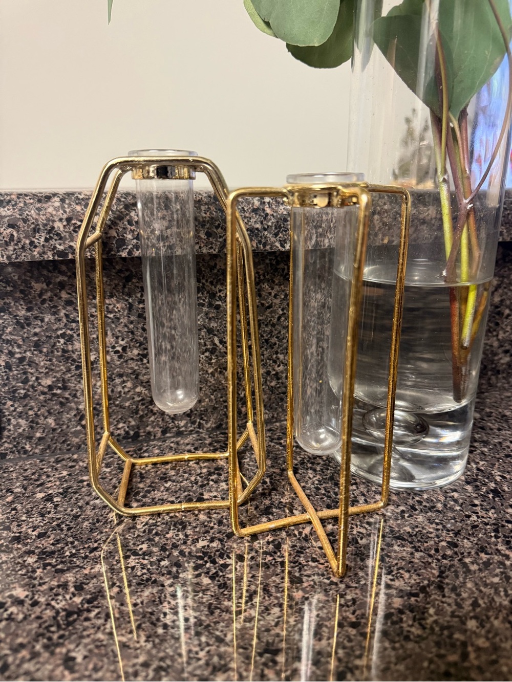 Gold Geometric Test Tube Propagation Vases (Set of 2)